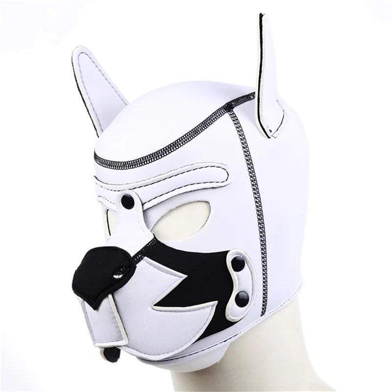 img_2561751