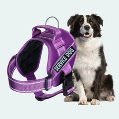 img_5021139
