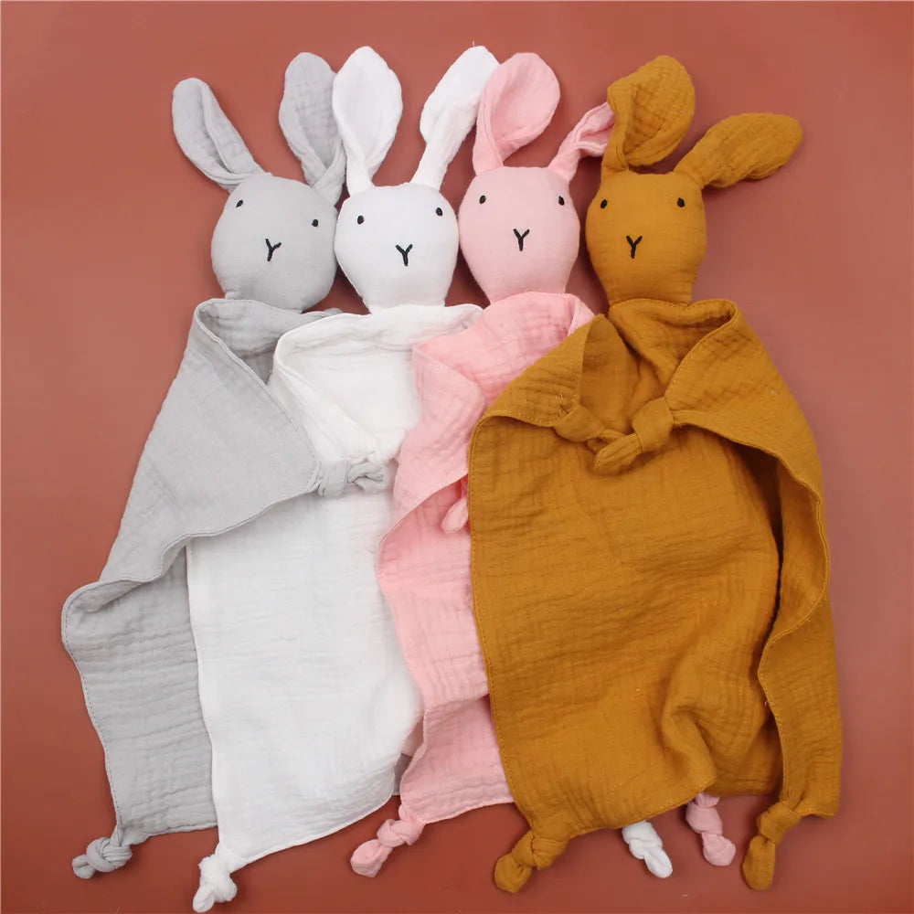 img_1266373