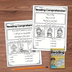 Seasonal Reading Comprehension Set for K-Prep & Grade