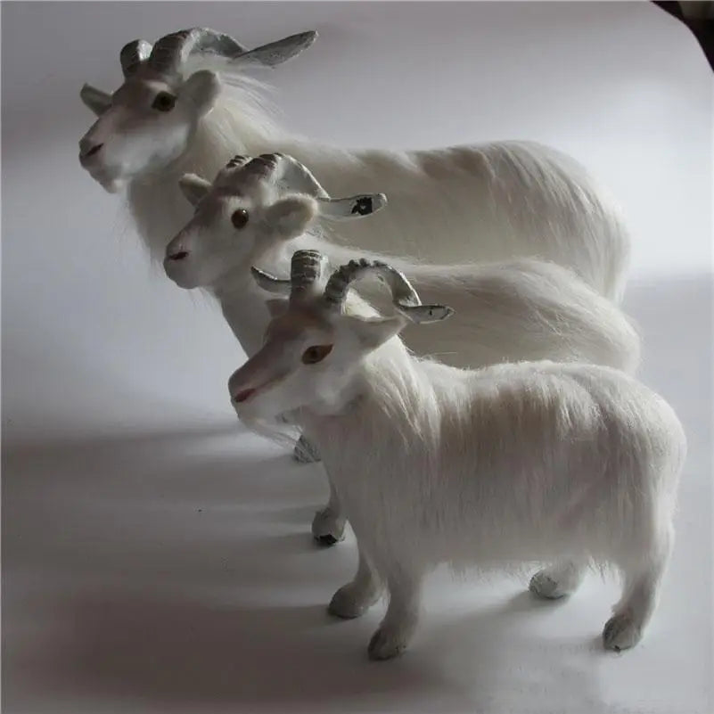 img_2940877