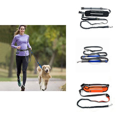 img_5029773