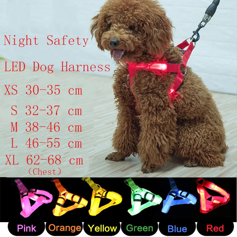 img_5033699