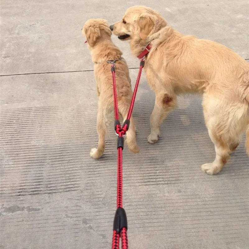img_5037789