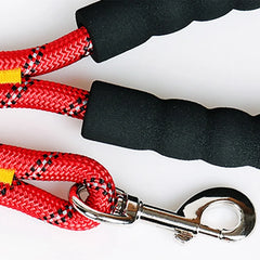 img_5029358