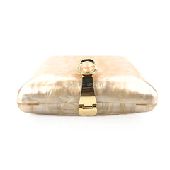 Acrylic Clutch Evening Bag Women's Clutch Bag