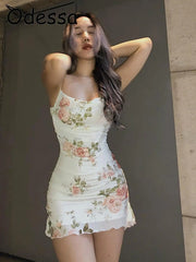 img_2238549
