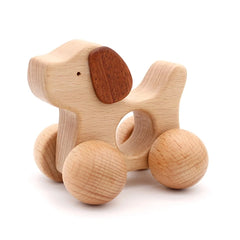 img_2795278