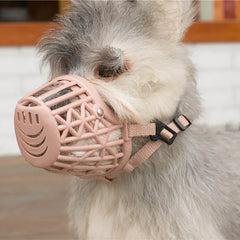 img_1246753