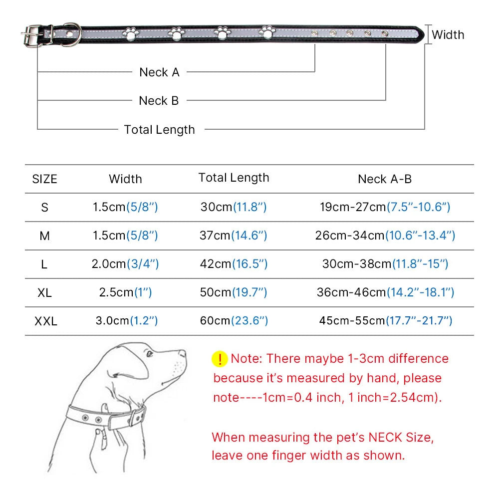 img_5025004