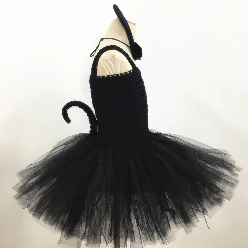 img_2551452