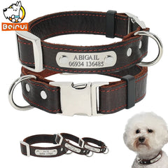 img_5020862