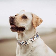 img_5030370