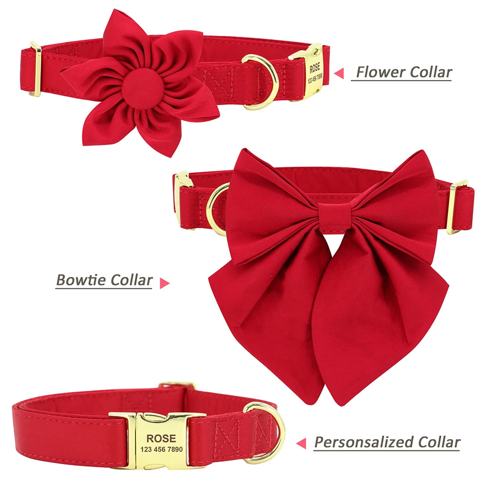 img_5021599