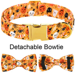 img_5022510