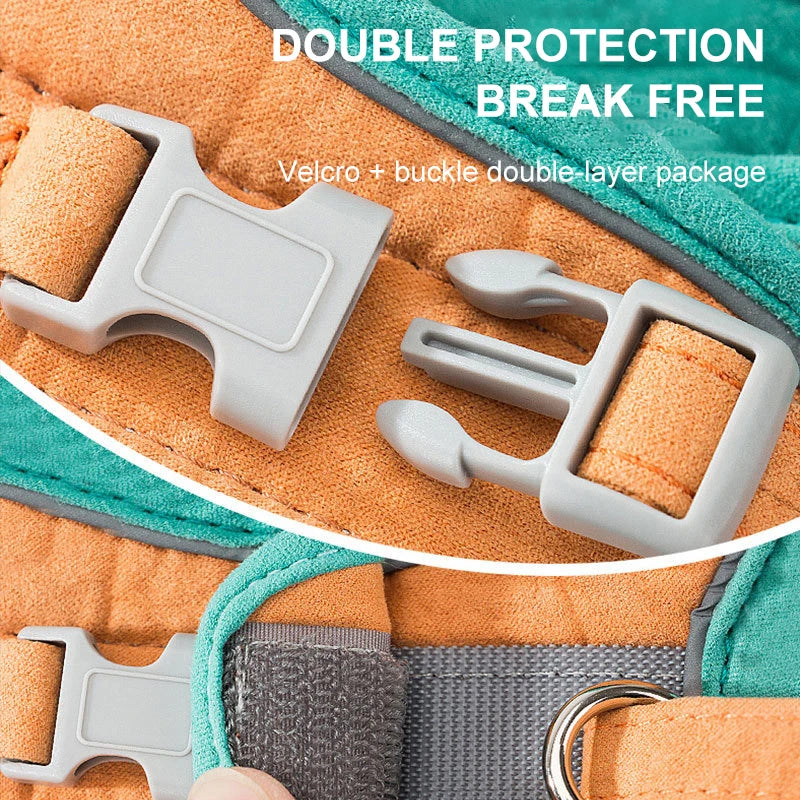 img_1245593