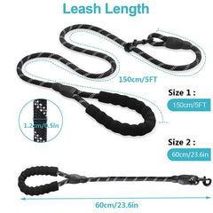 img_5028829