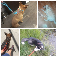 img_5040798