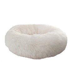 img_5087999