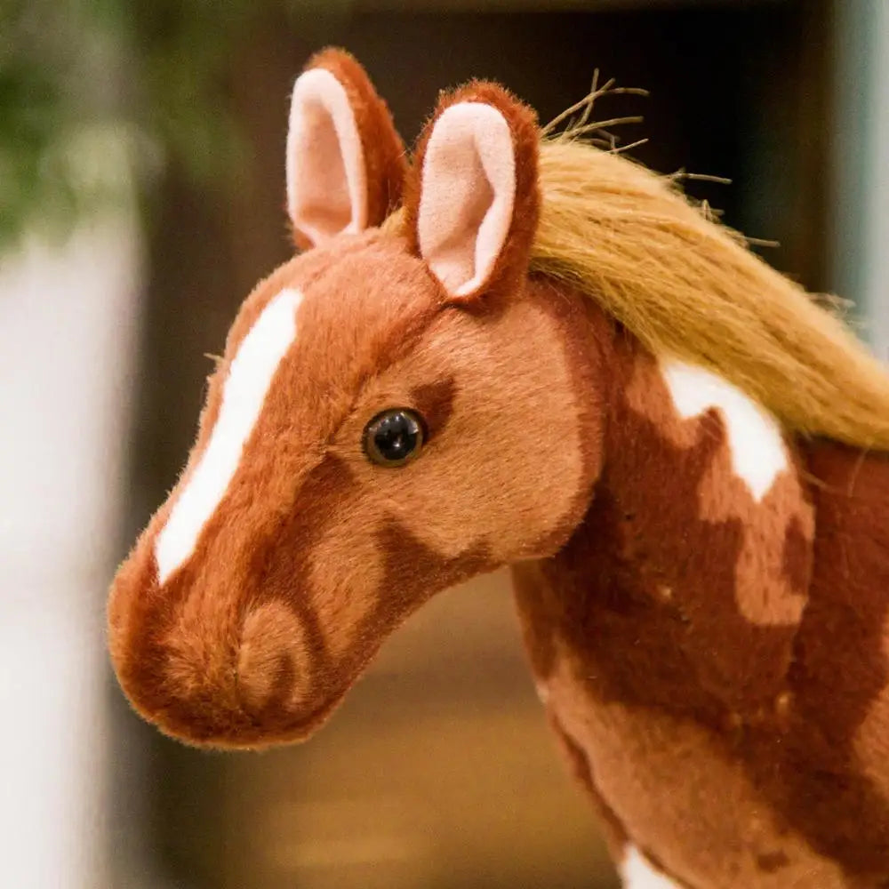 img_2917963