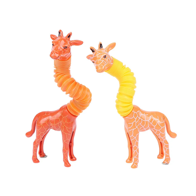 img_5006447