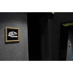 img_2784625