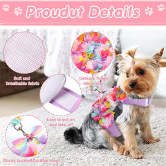 img_1246971