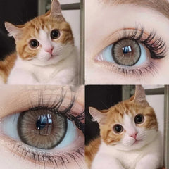 img_302470