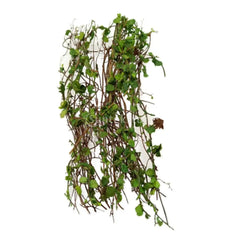 img_2976702
