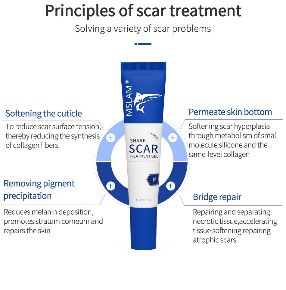 img_278598
