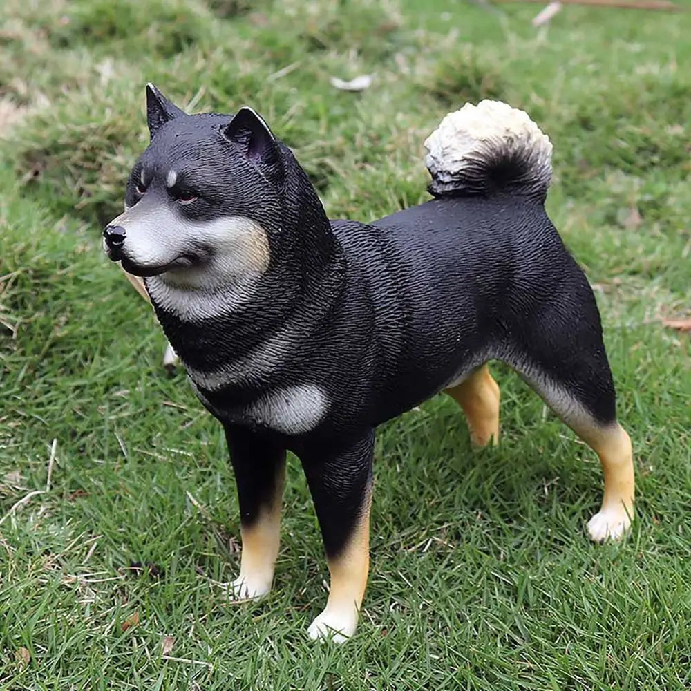 img_2654093