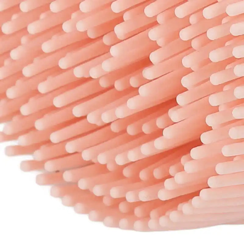 img_504065