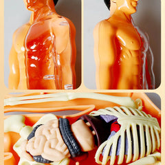img_2805493