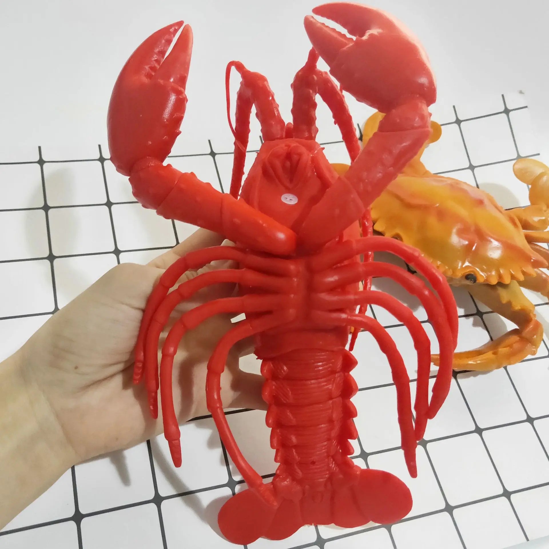 img_2675571