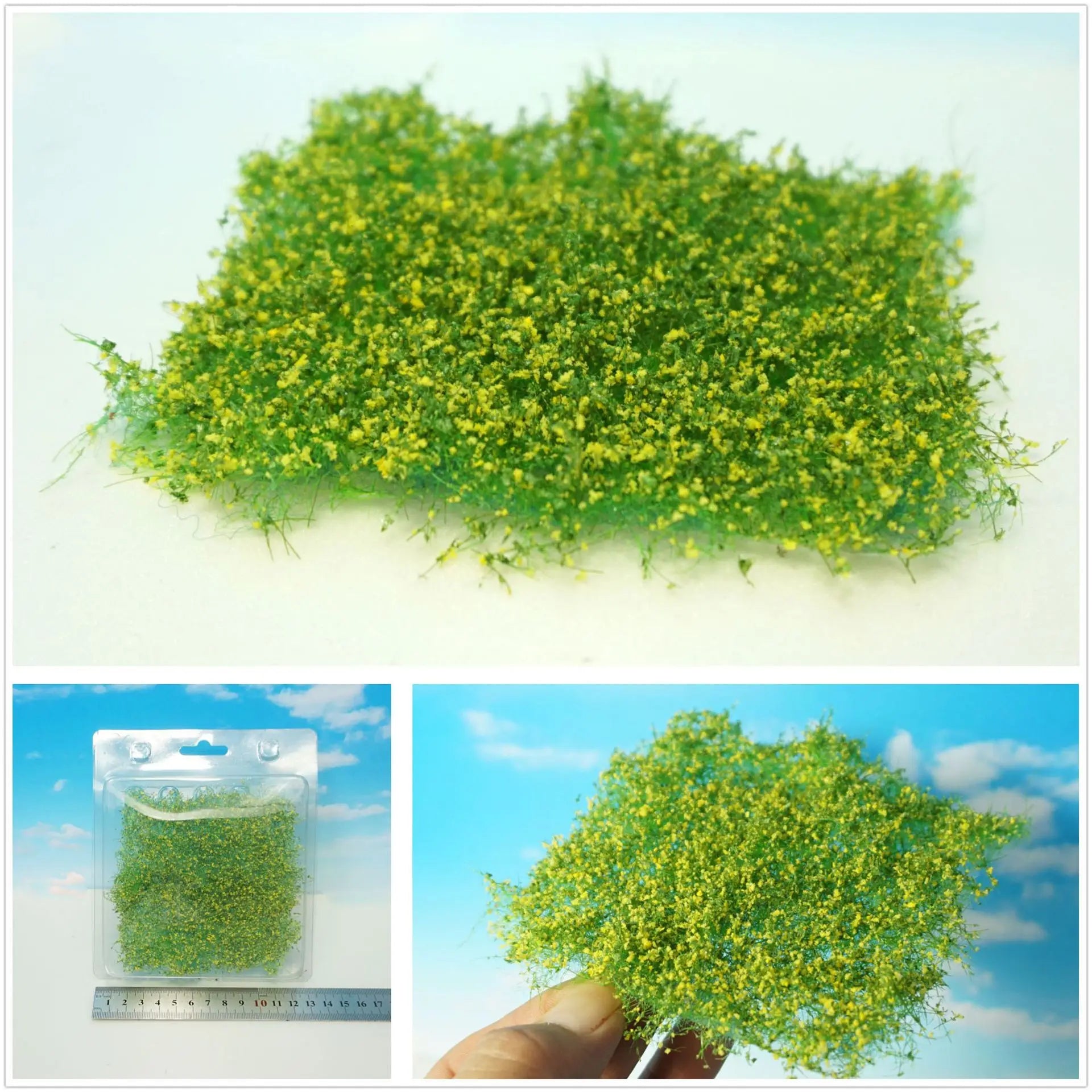 img_2822172