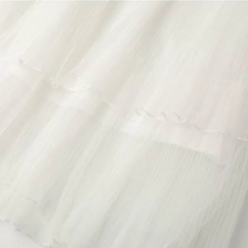 img_2240324