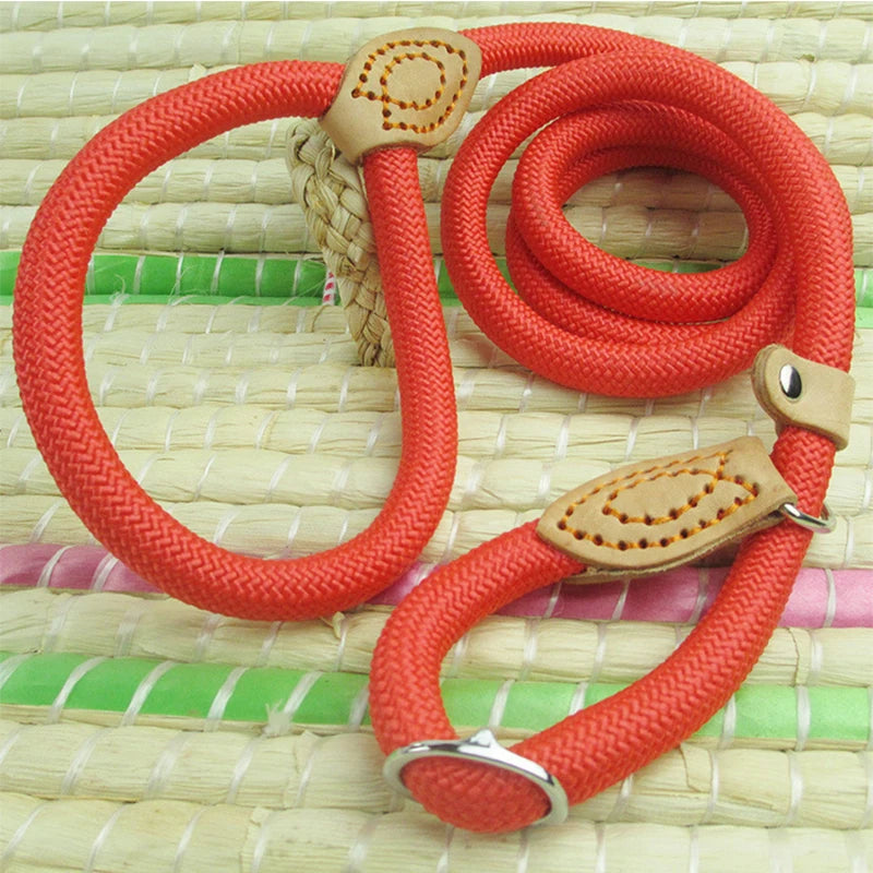 img_5035080