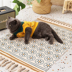 img_7405949