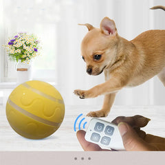 img_5088882