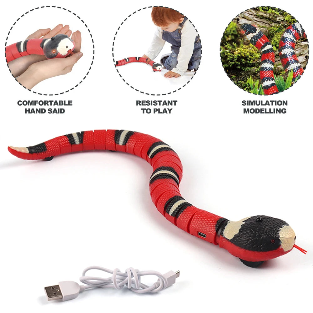 img_2865794