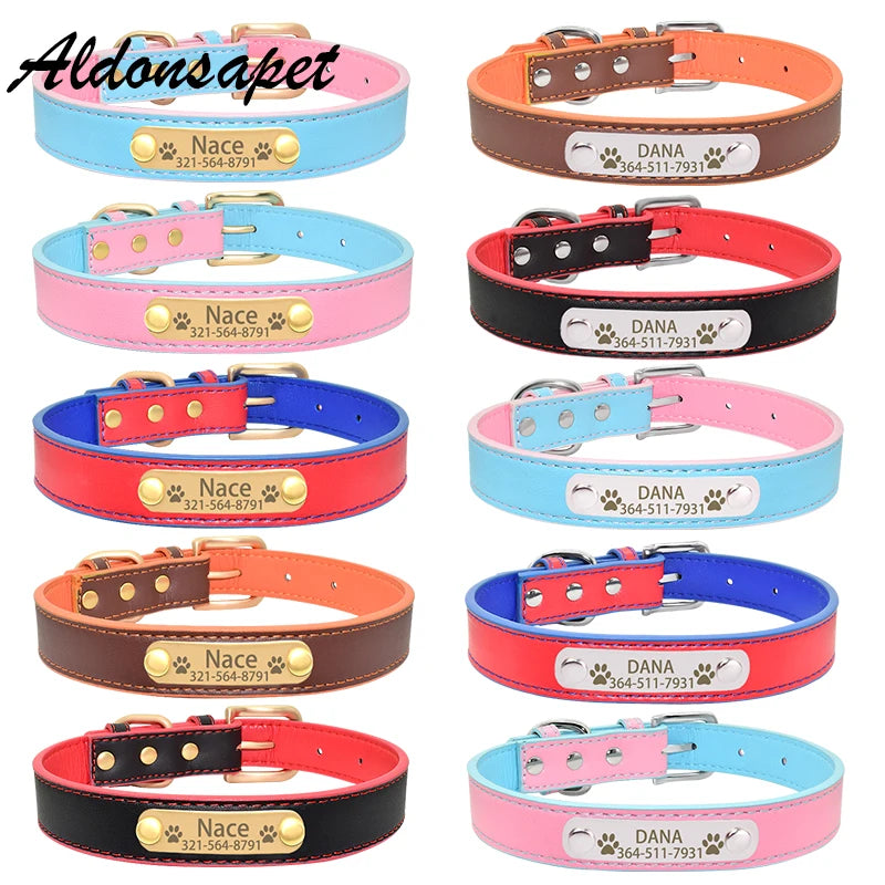 img_5025585