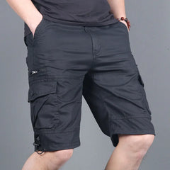 img_2095784