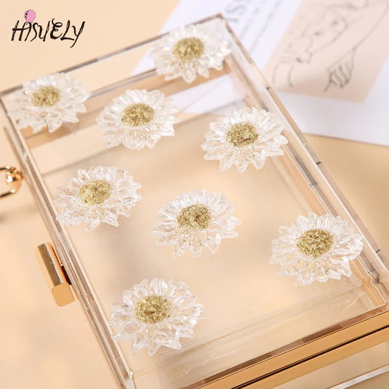 Clear Transparent Crossbody Bag Acrylic Handbags Small Chain Square Bag