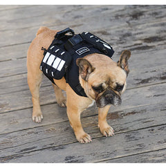 Reflective Adjustable Dog Backpack Harness for Small Dogs