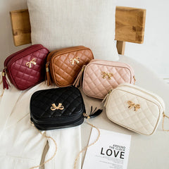 Lingge Embroidery Small Messenger Bag Chain Crossbody Bag for Women