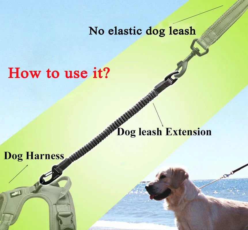 img_5036020