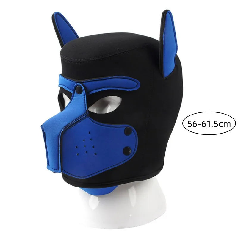 img_2562286
