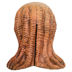 img_2358243