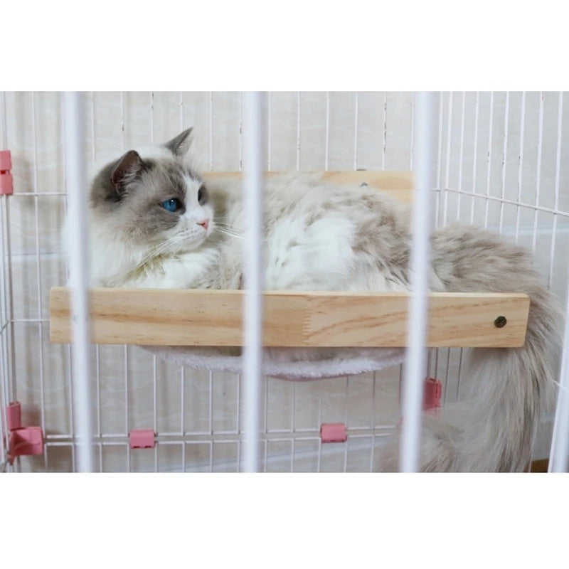 img_5088778