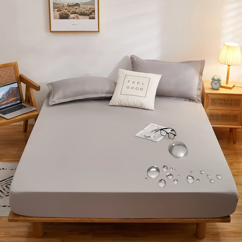 img_1549099